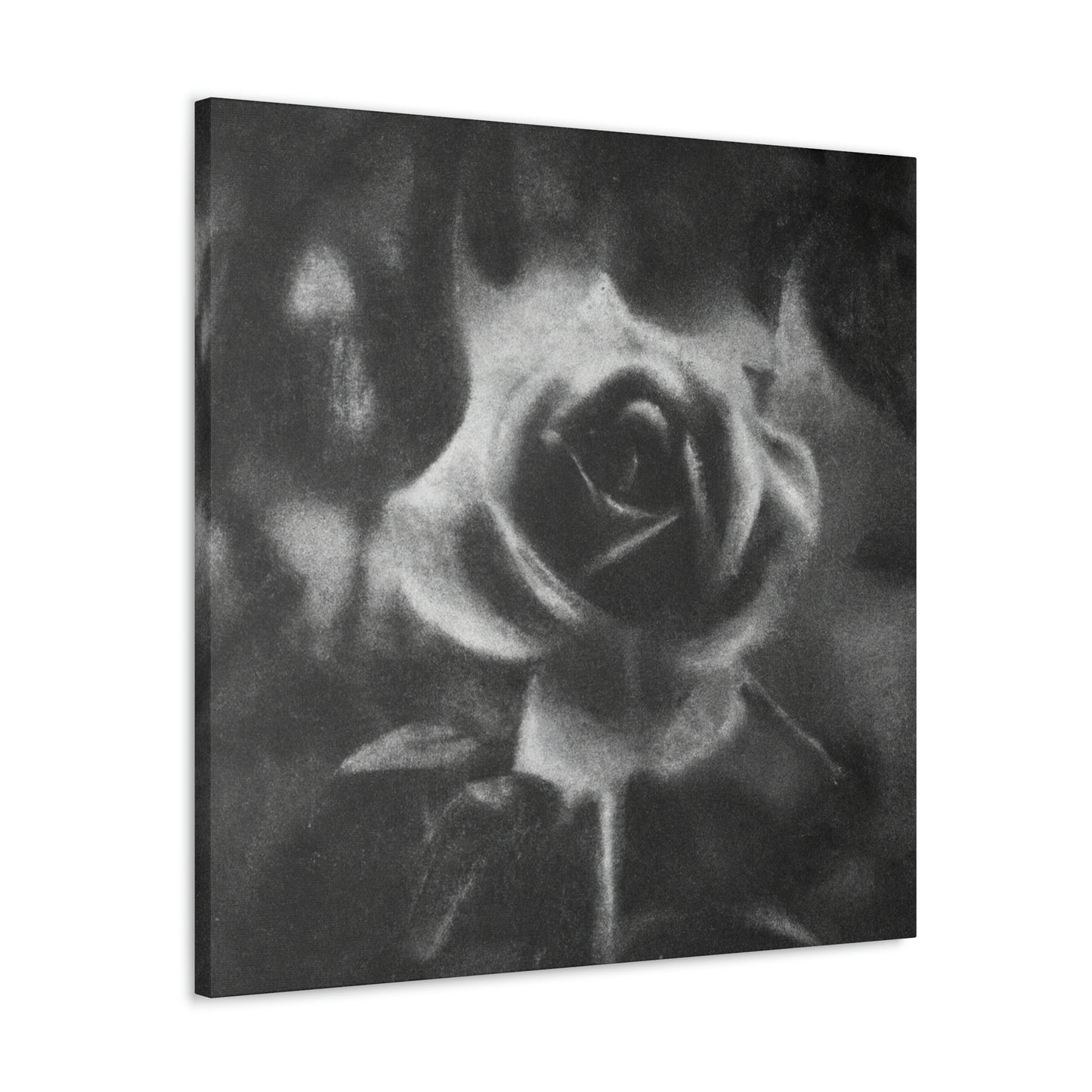 Rose of Eternal Beauty - Canvas