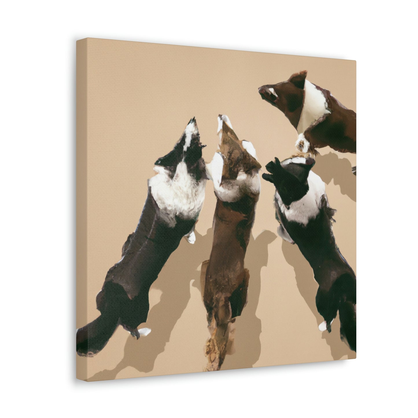 "Border Collie Brandish". - Canvas