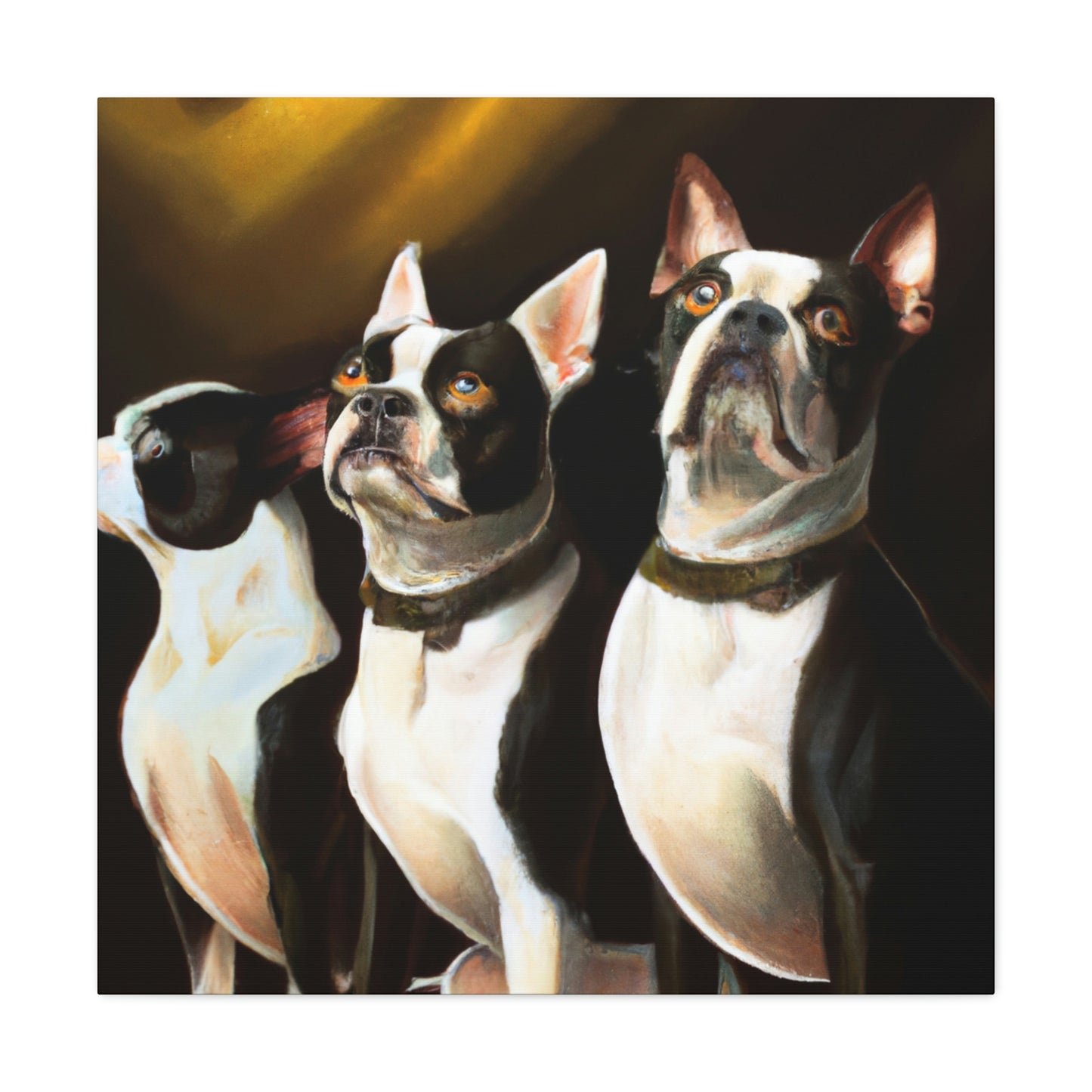 "Boston Terrier Elegance". - Canvas