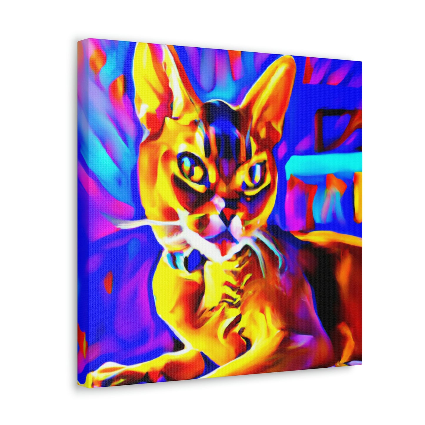 Abyssinian Pop Splendor - Canvas