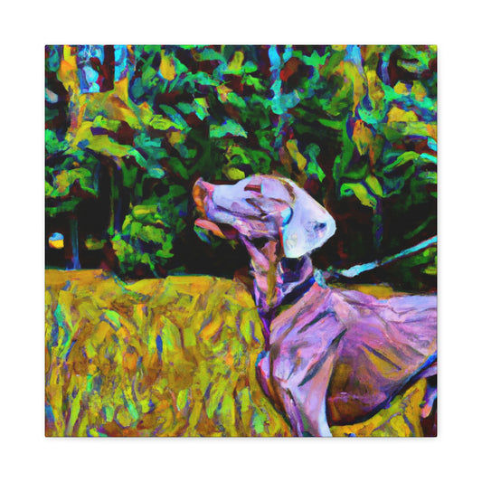 Weimaraner in Sunshine - Canvas