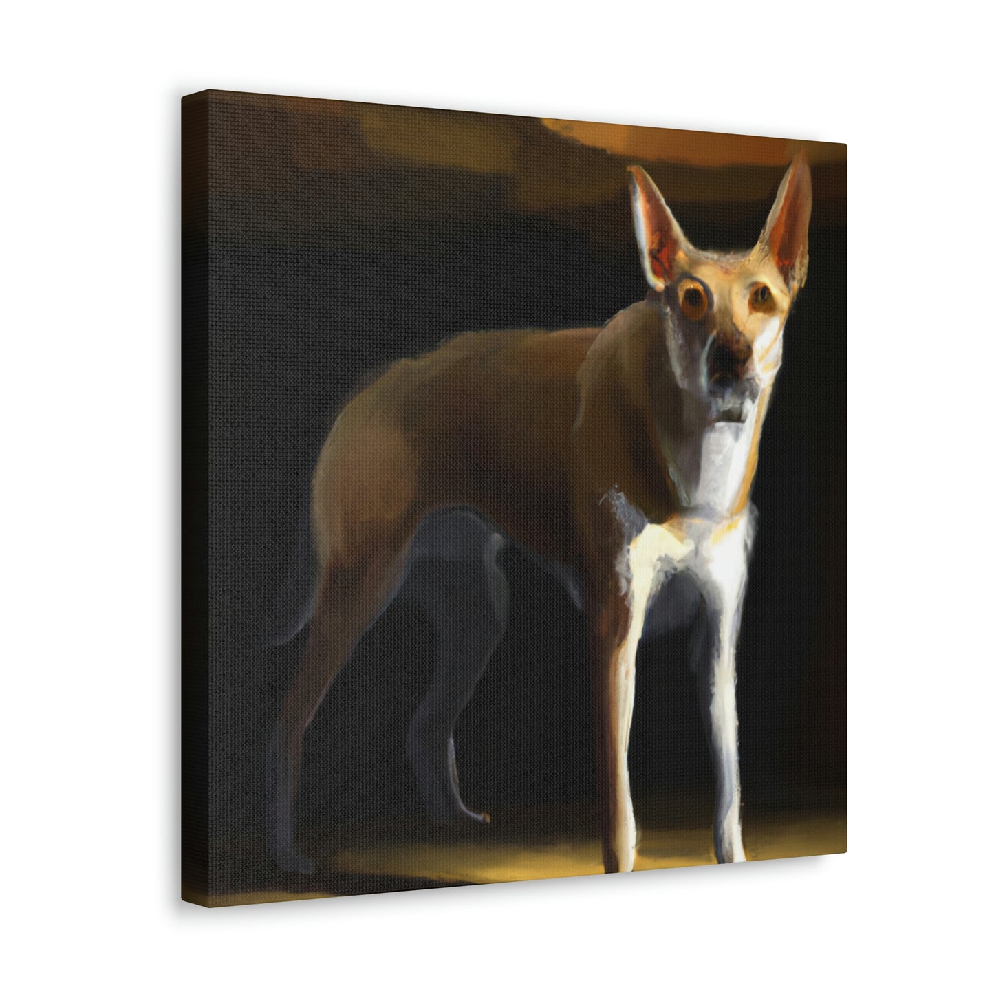 Dingo Dreams in Color - Canvas