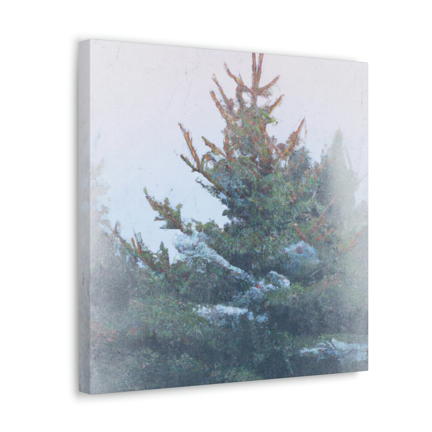 Spruce in the Woods - Canvas