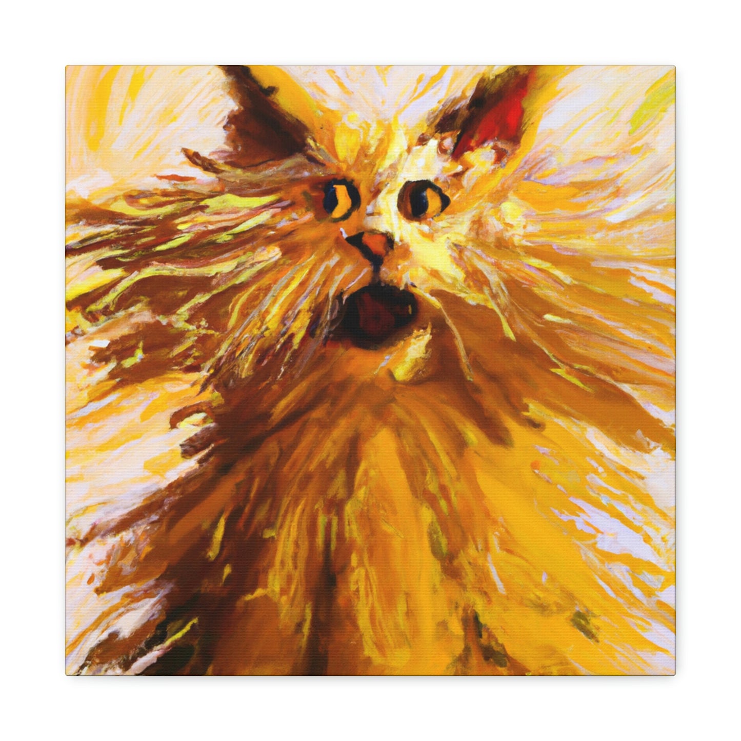 Maine Coon Awe. - Canvas