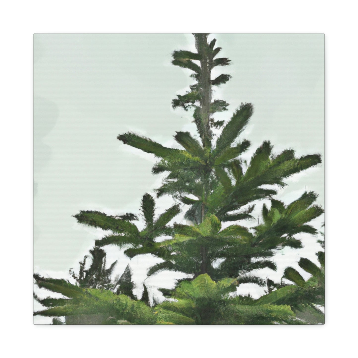 Douglas Fir Solitude. - Canvas