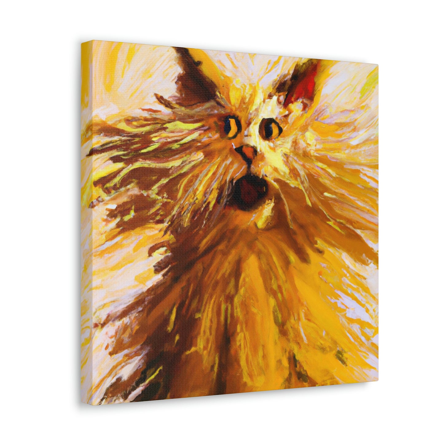 Maine Coon Awe. - Canvas