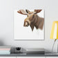 Moose in Winter Light - Canvas