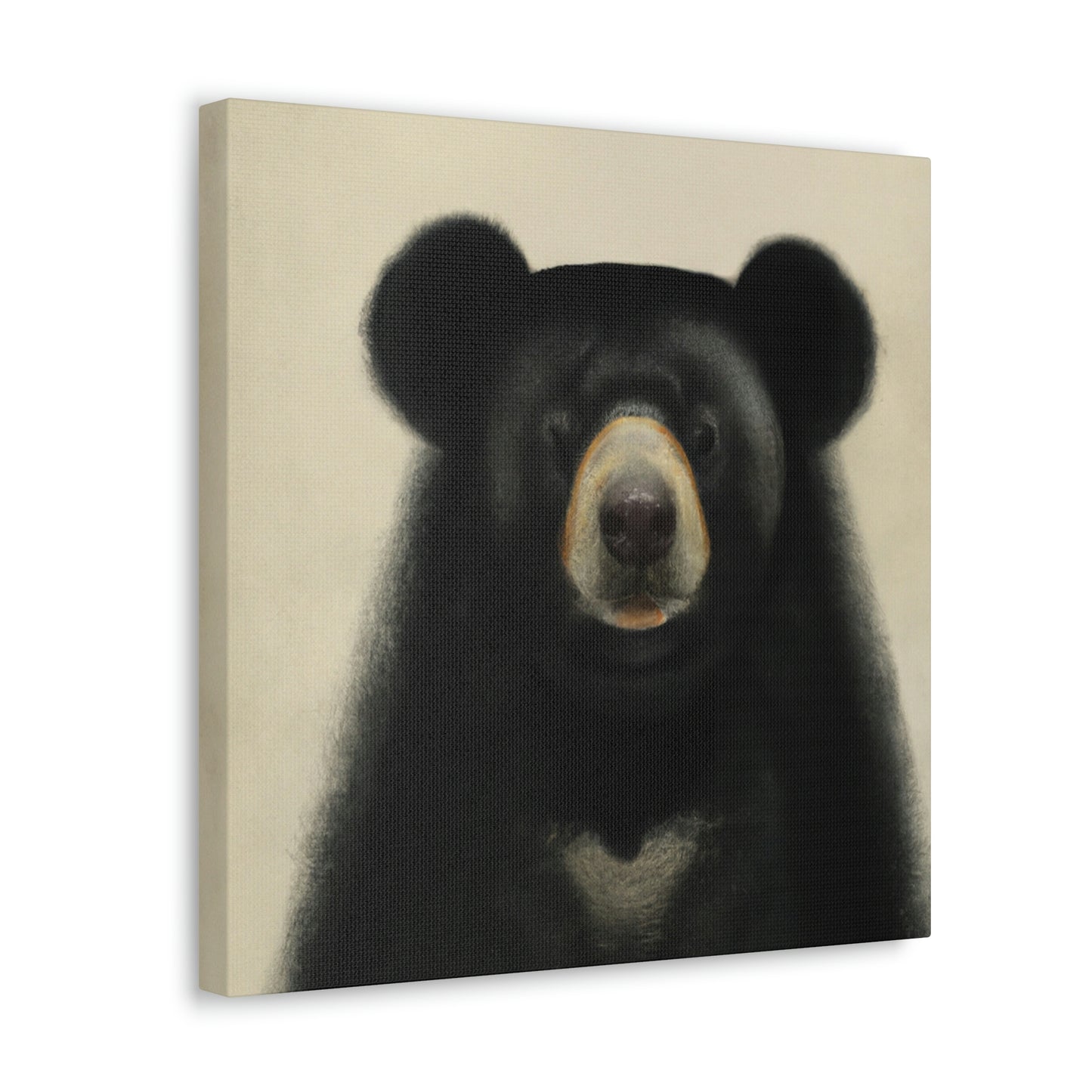 "Asiatic Black Bear Soul" - Canvas