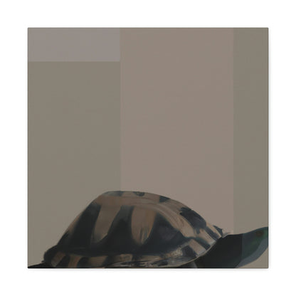 "Box Turtle Reflection" - Canvas