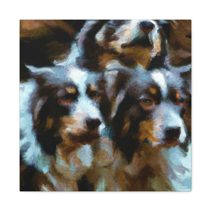 Australian Shepherd Solitude - Canvas