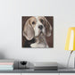 A Beagle's Regal Gaze - Canvas