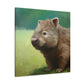 "Wombat in Landscape" - Canvas