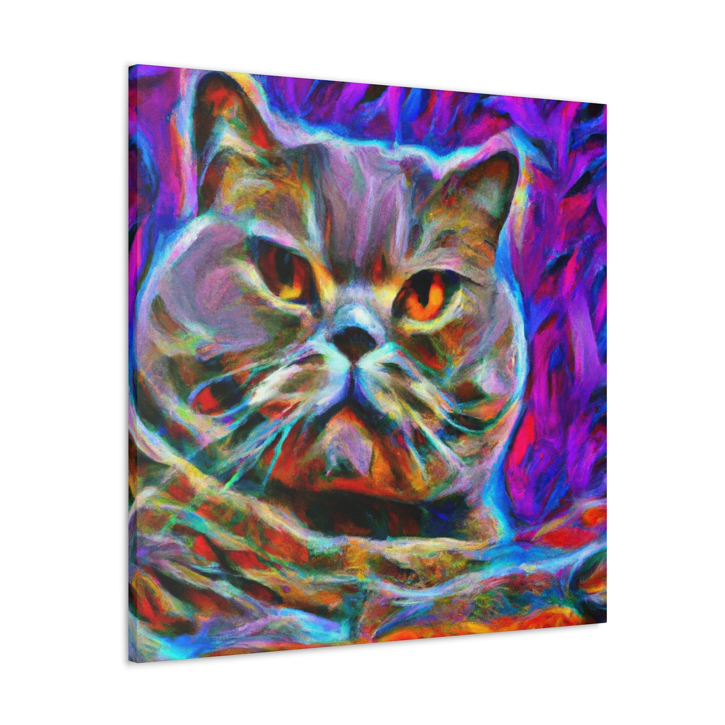 Regal British Shorthair - Canvas