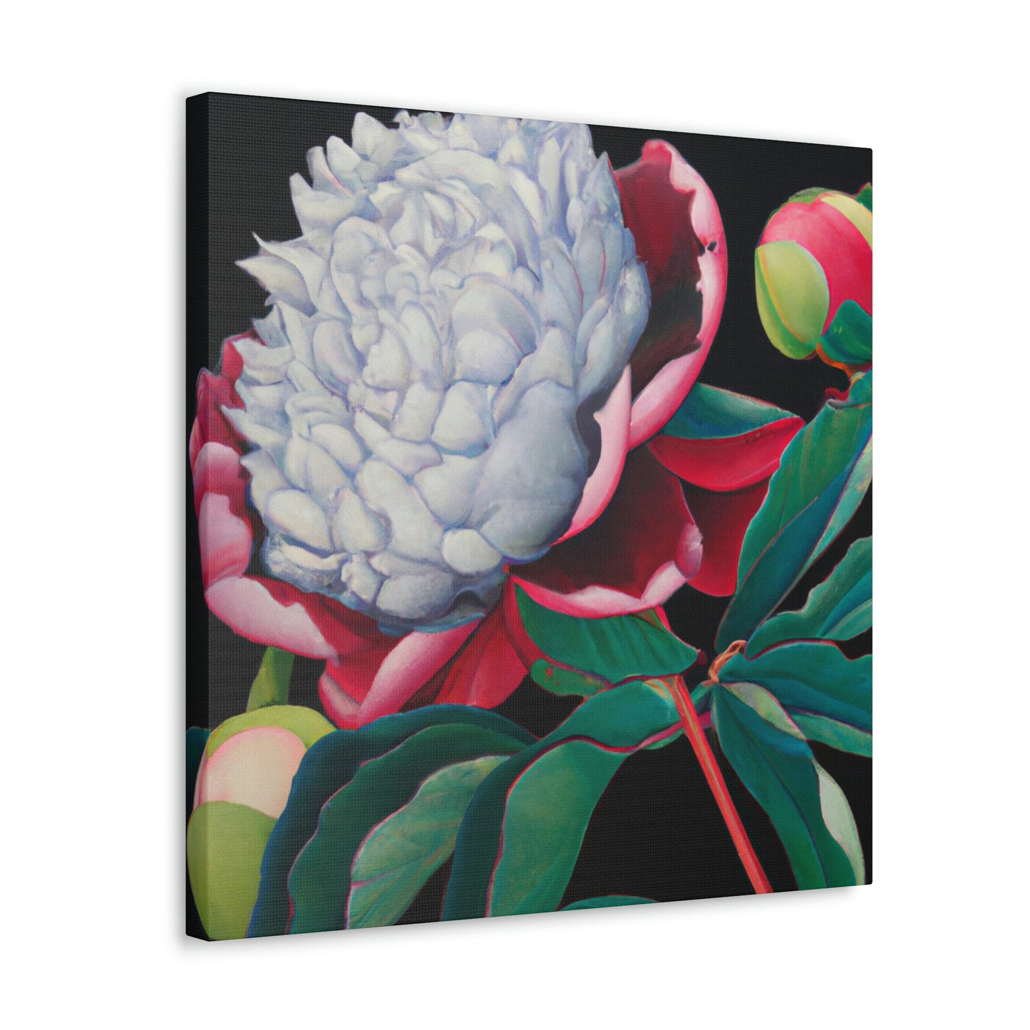 "Flamboyant Peony Bloom" - Canvas