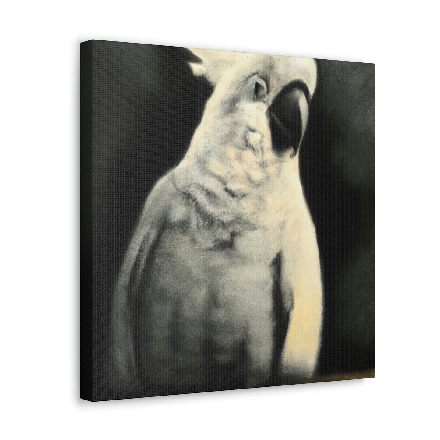 Cockatoo Reflection Dream - Canvas