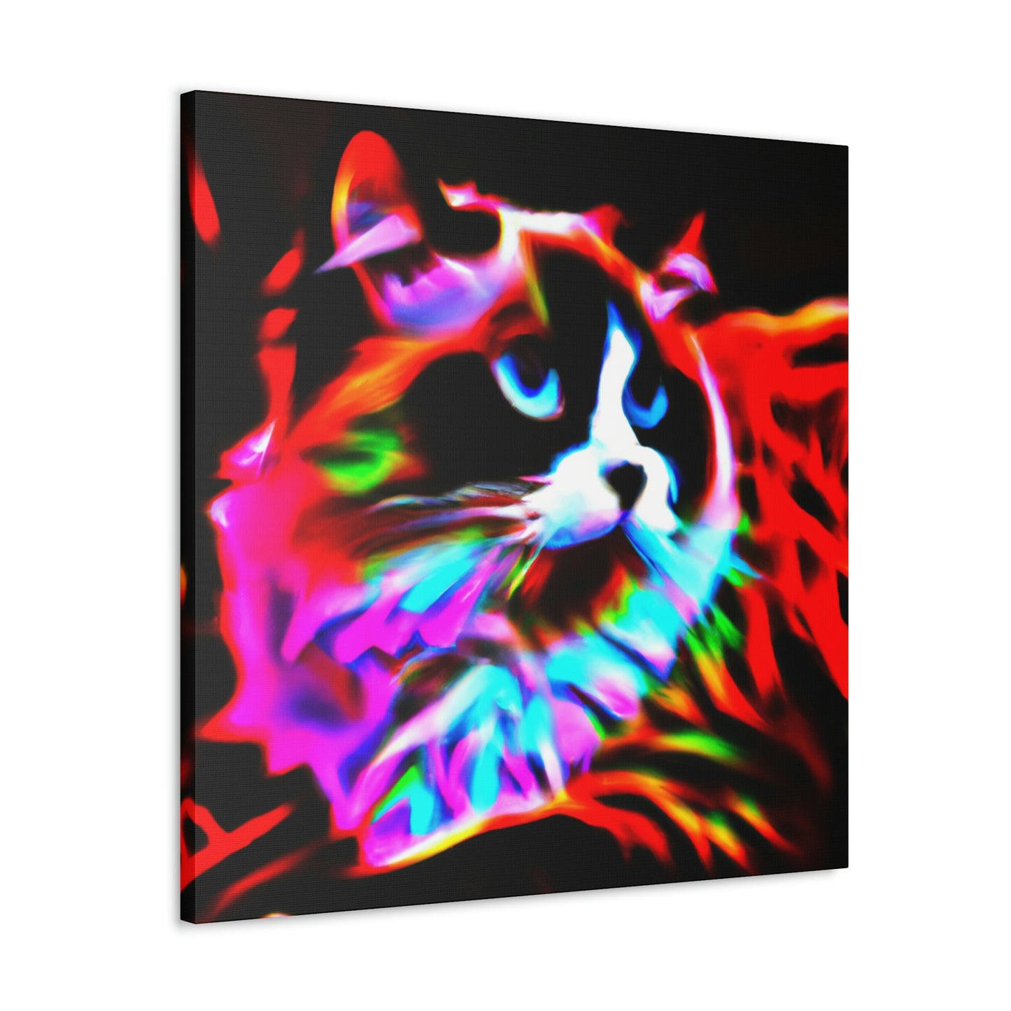 Ragdoll Pop Magic - Canvas