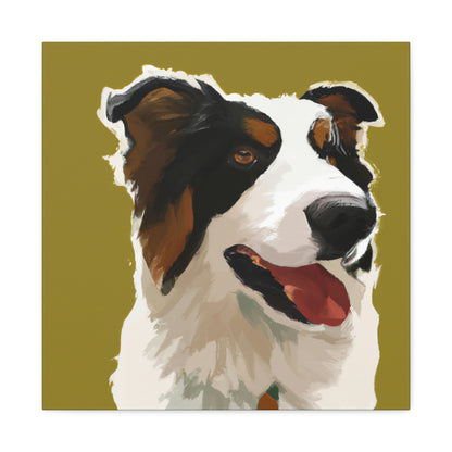 "Border Collie Simplicity" - Canvas