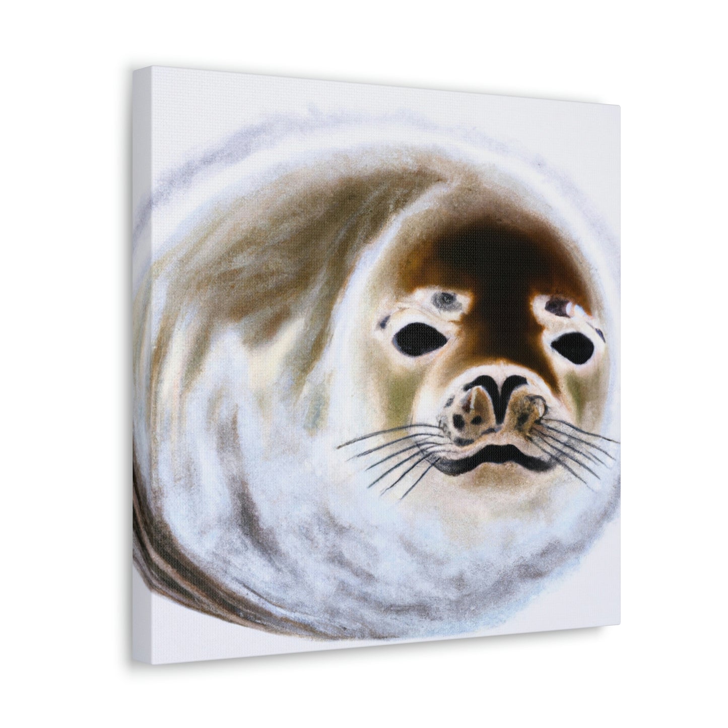 Harp Seal Slumbering - Canvas