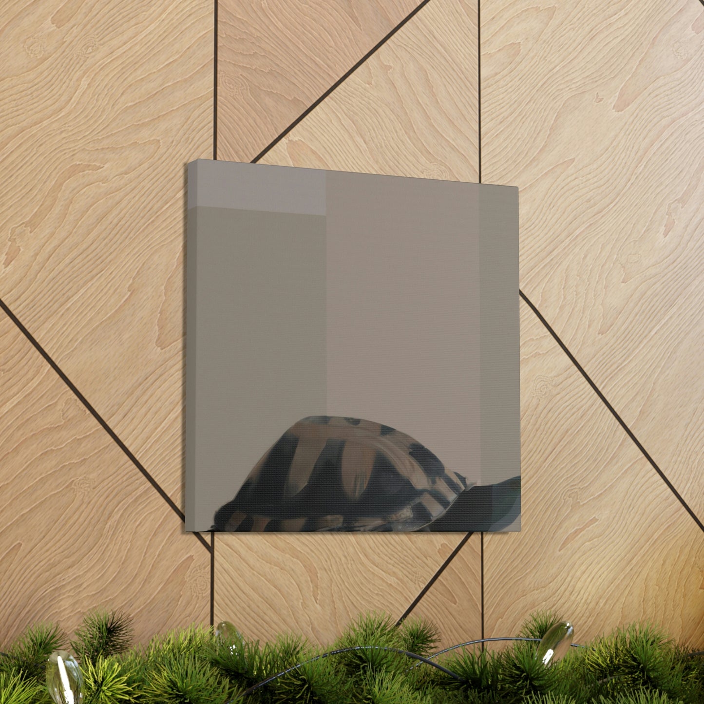 "Box Turtle Reflection" - Canvas