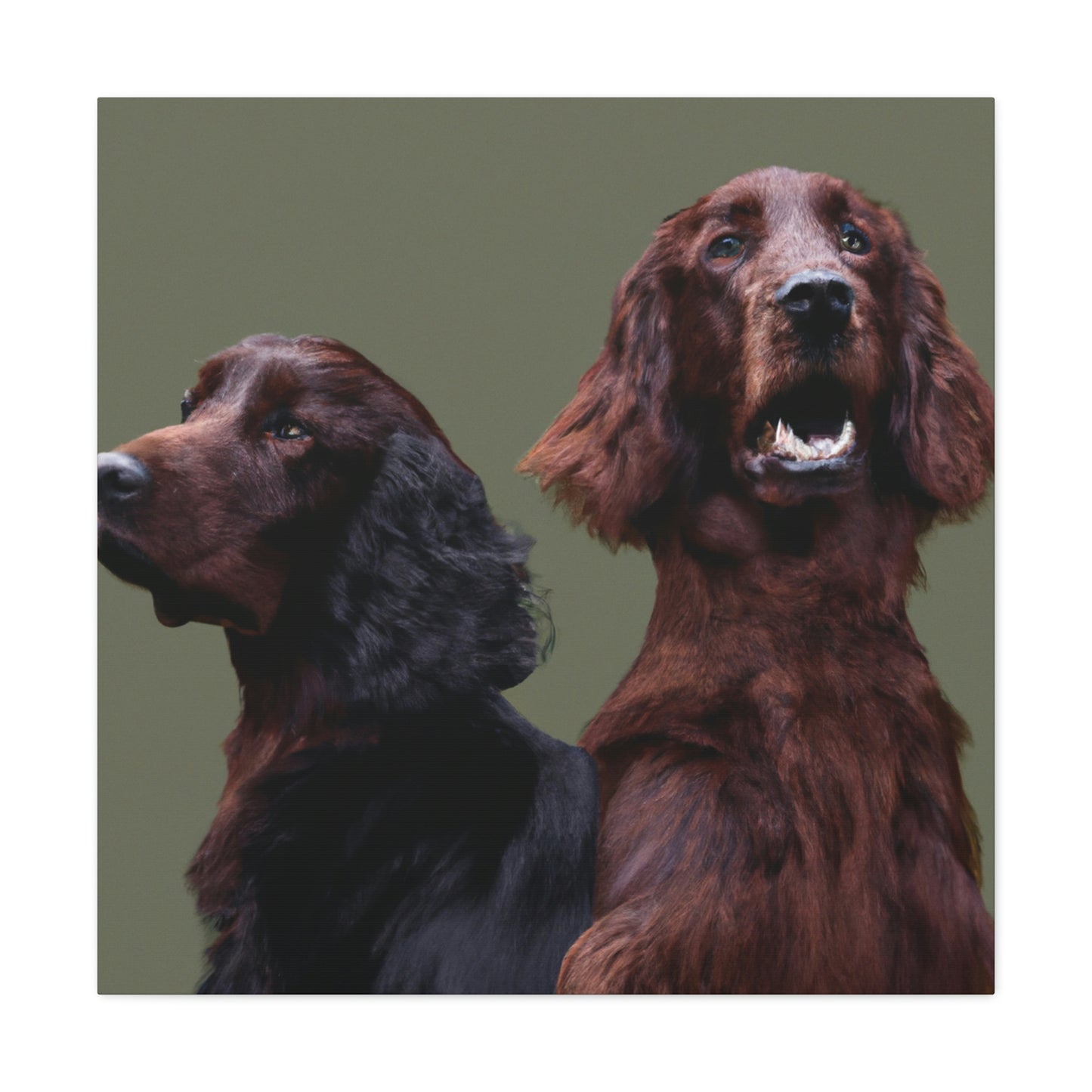 "A Simple Irish Setter" - Canvas