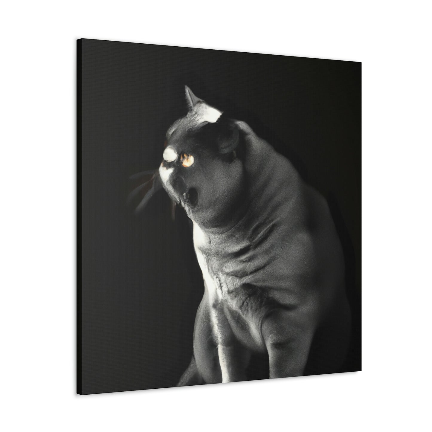 "British Shorthair Slumber" - Canvas