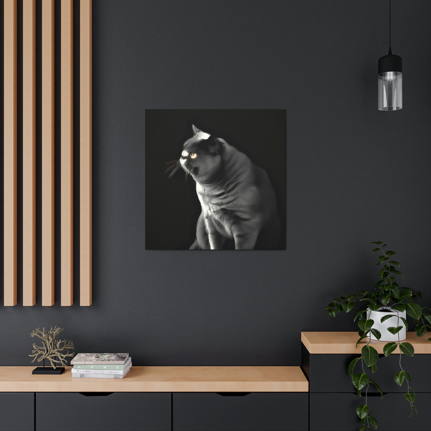 "British Shorthair Slumber" - Canvas