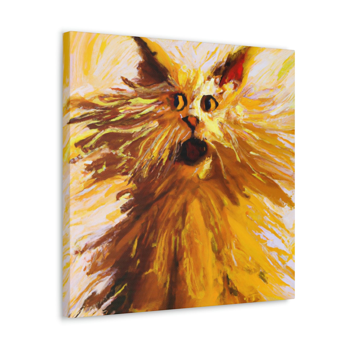 Maine Coon Awe. - Canvas