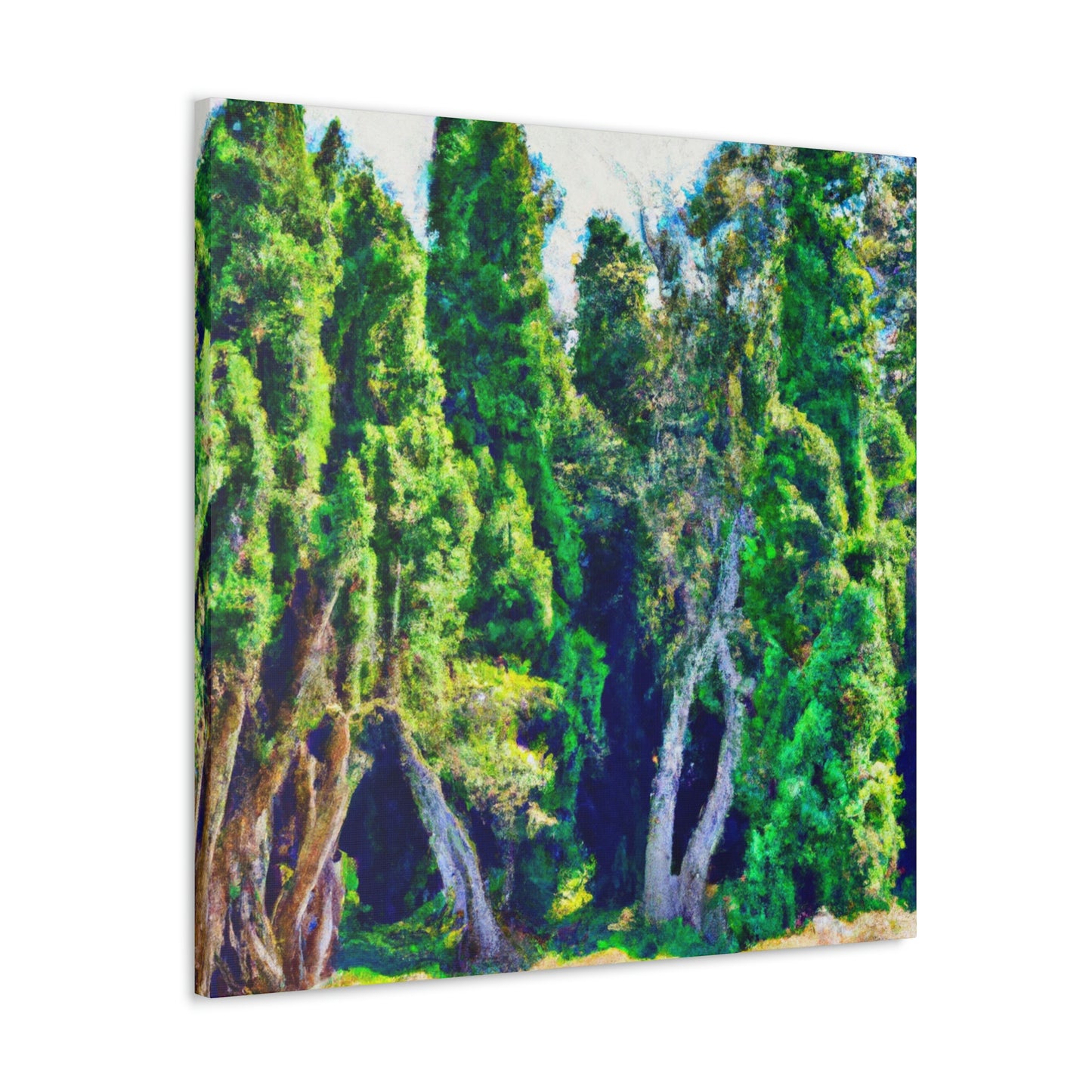 Cypress Haunting Beauty - Canvas