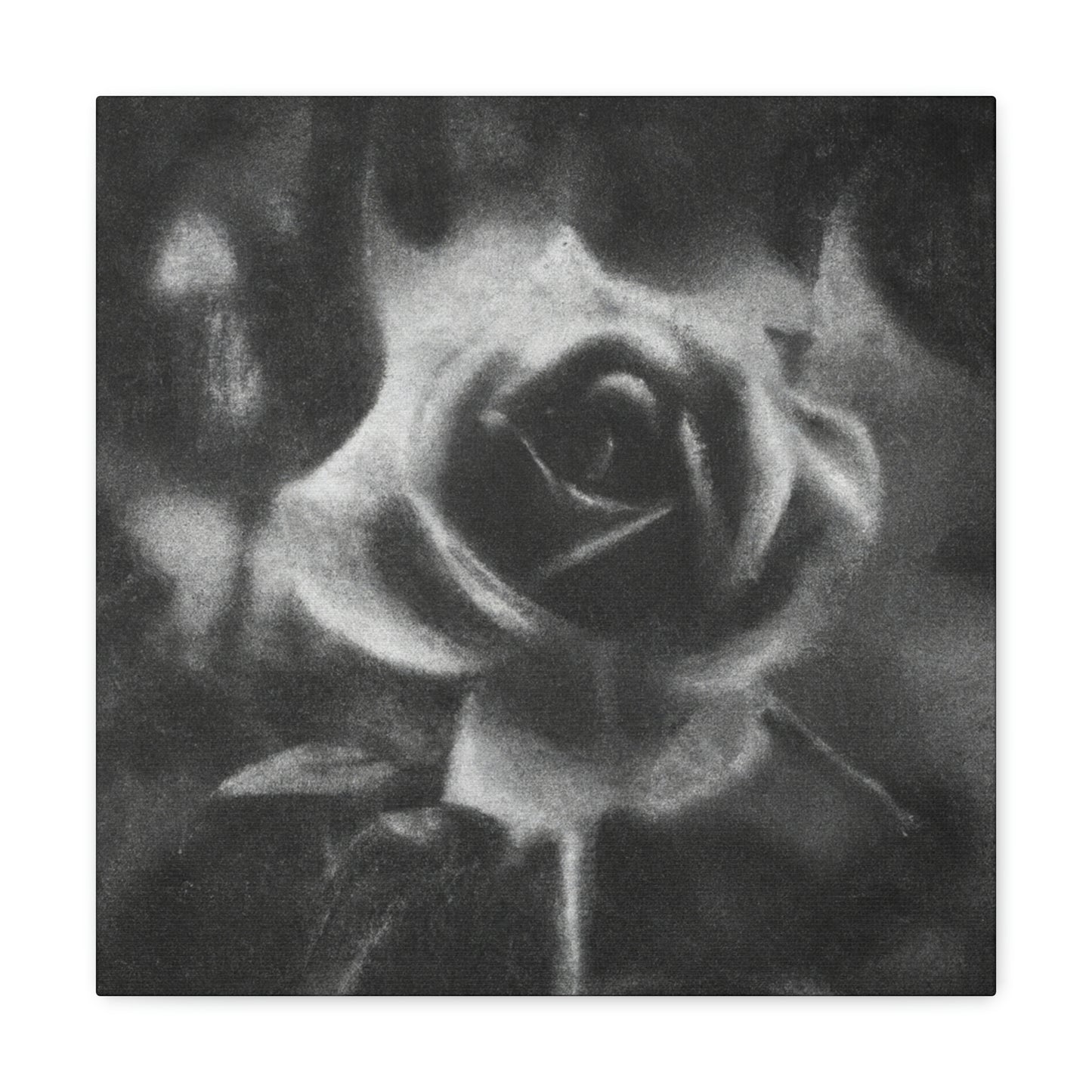 Rose of Eternal Beauty - Canvas