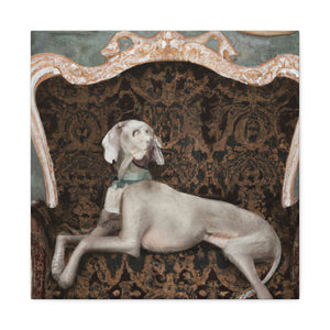 "Weimaraner at Play" - Canvas