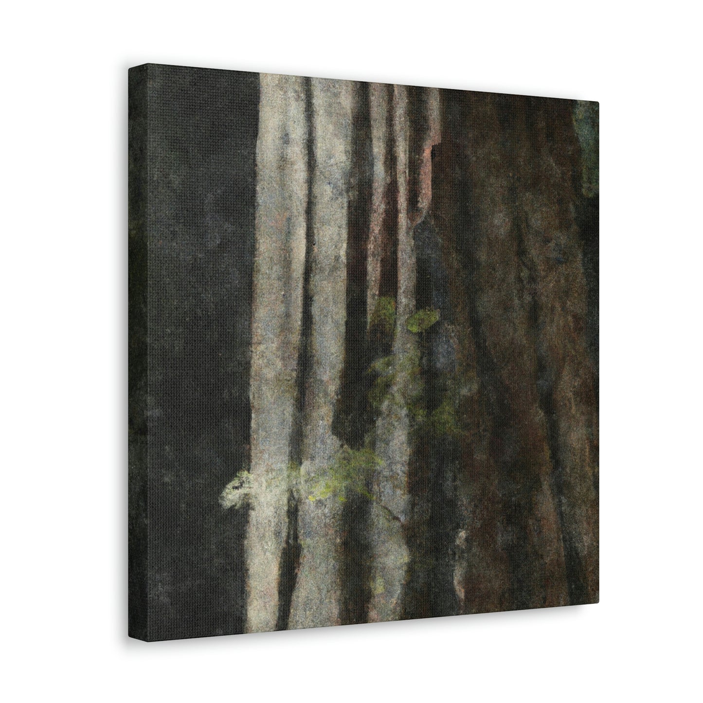 Redwood in Reflection - Canvas