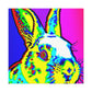 Rabbit in Pop Art - Canvas