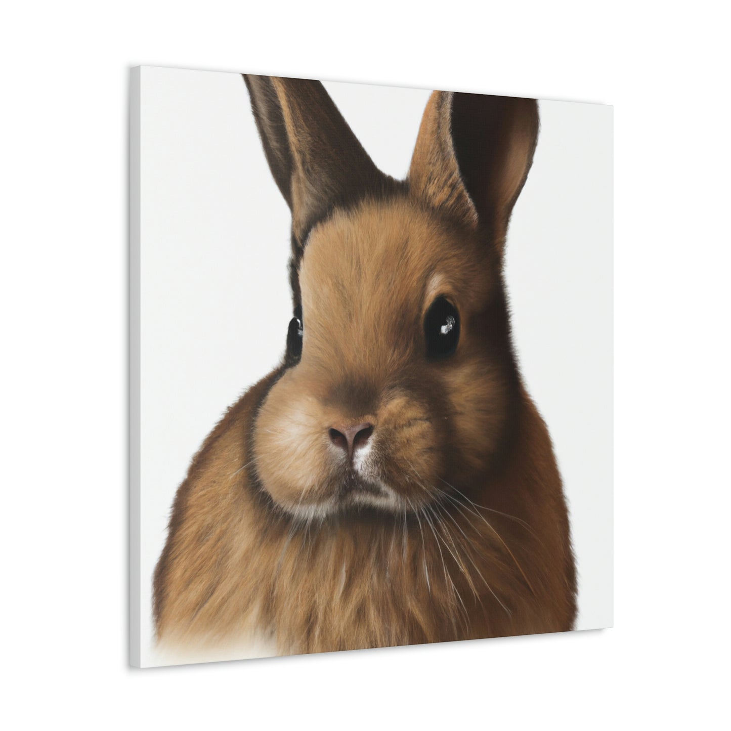 "Rabbit in Springtime" - Canvas