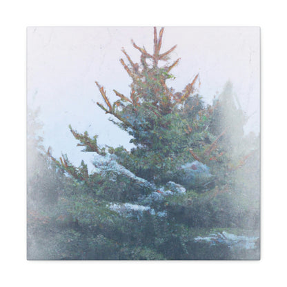 Spruce in the Woods - Canvas