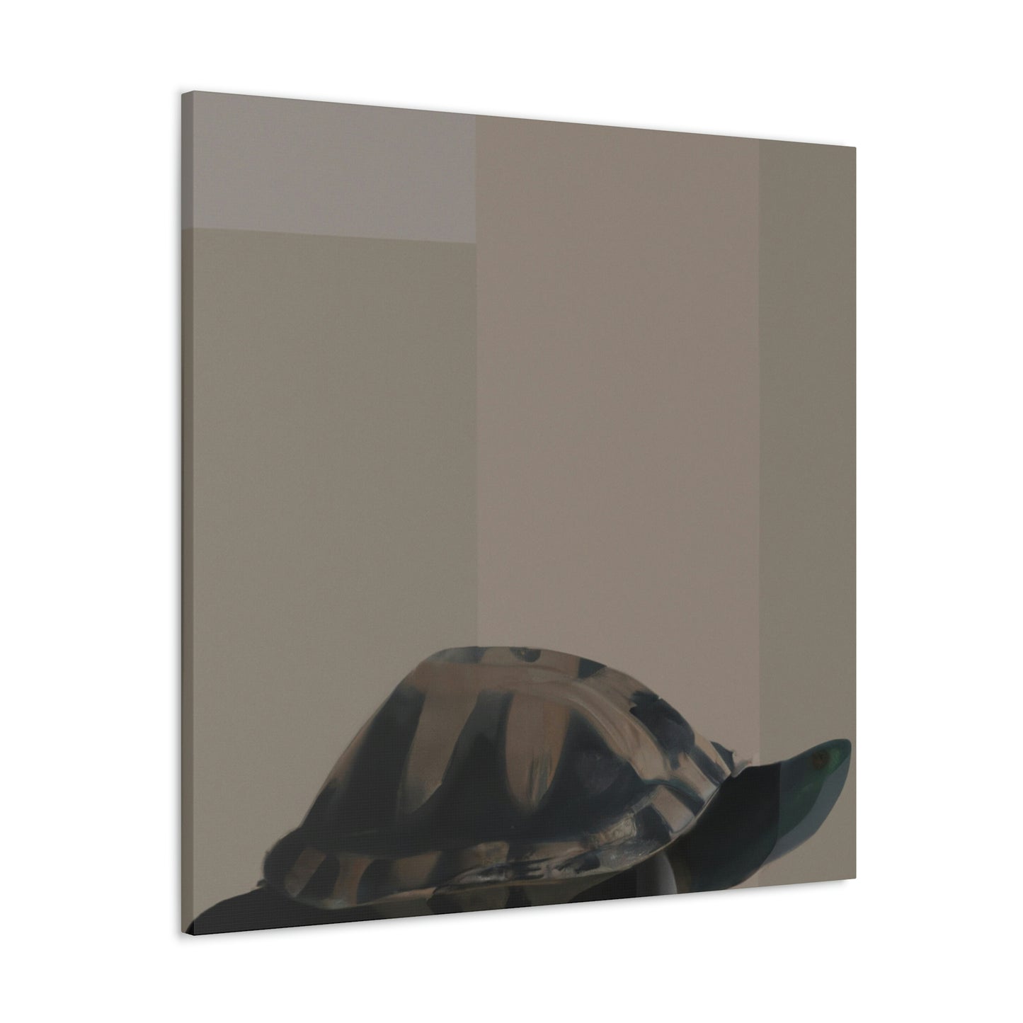 "Box Turtle Reflection" - Canvas