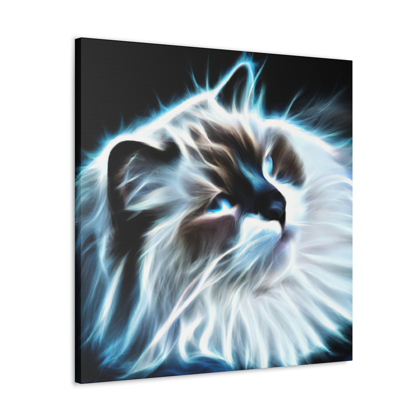 Ragdoll Realism Portrait - Canvas