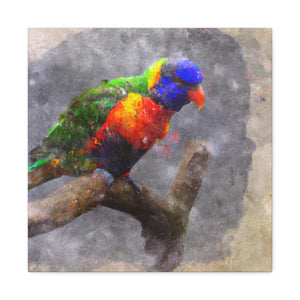 Rainbow Lorikeet Points - Canvas