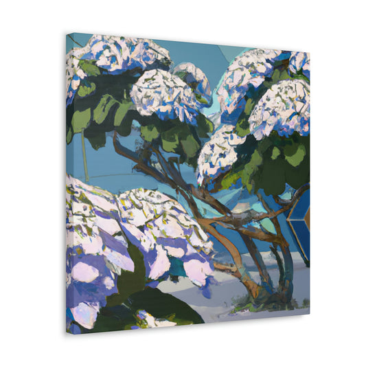 Hydrangea in Bloom. - Canvas