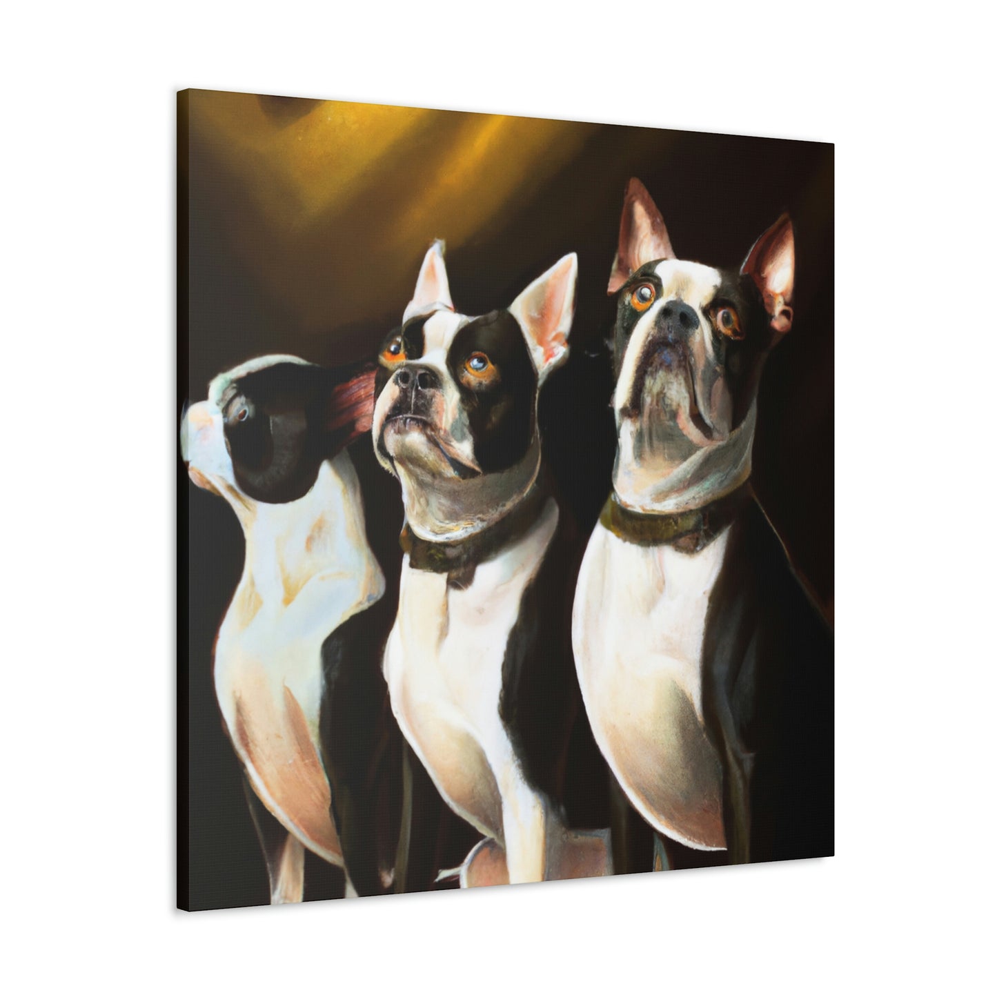 "Boston Terrier Elegance". - Canvas