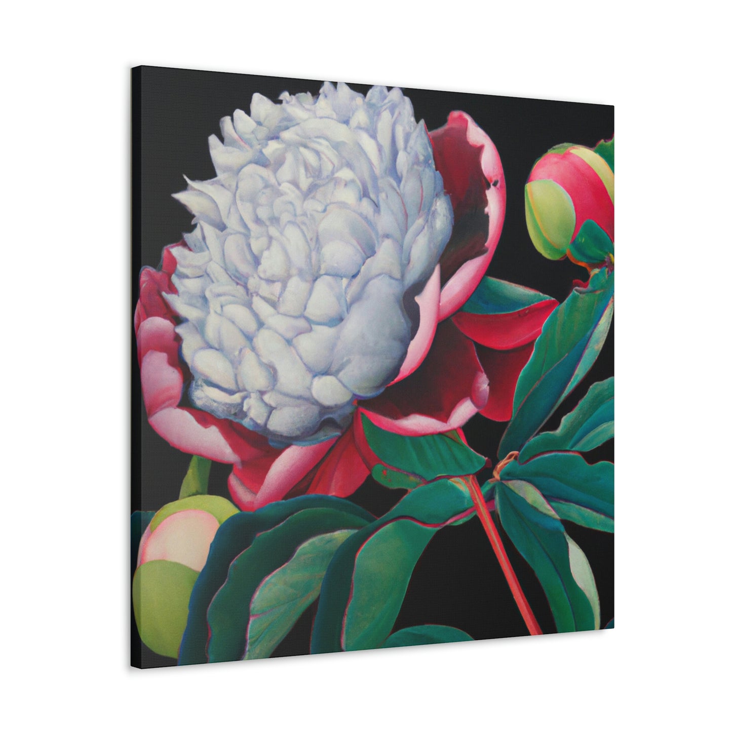 "Flamboyant Peony Bloom" - Canvas