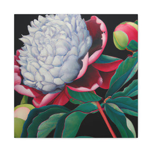 "Flamboyant Peony Bloom" - Canvas