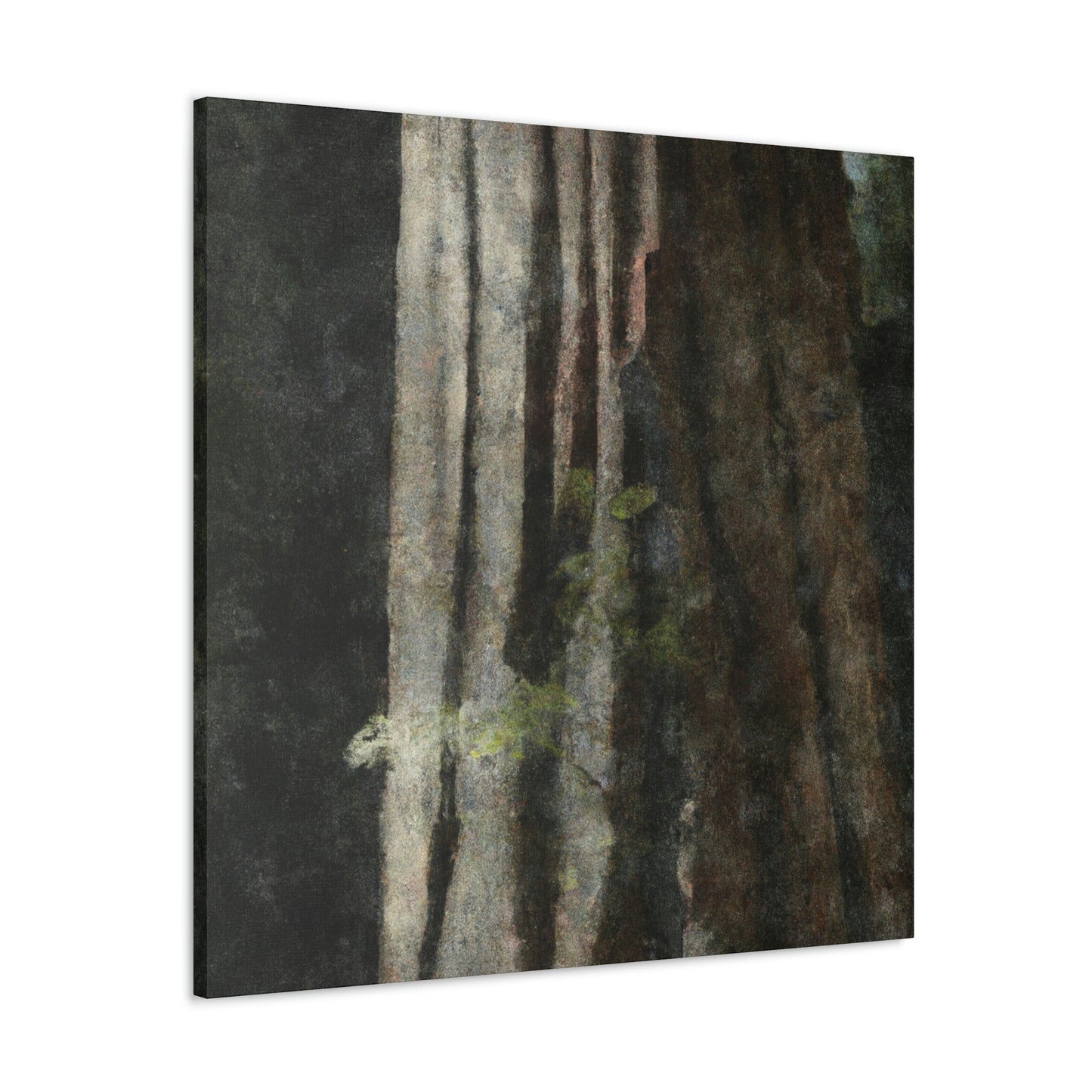 Redwood in Reflection - Canvas