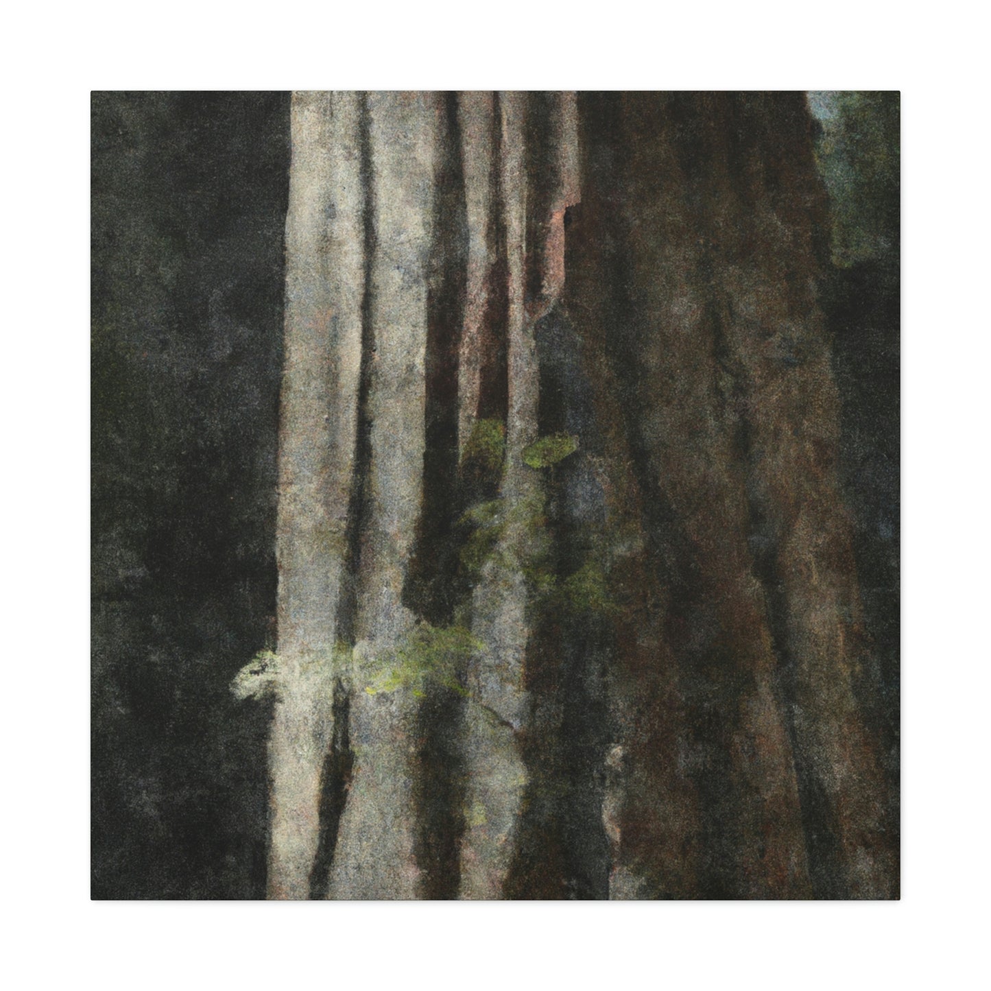 Redwood in Reflection - Canvas