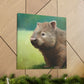 "Wombat in Landscape" - Canvas