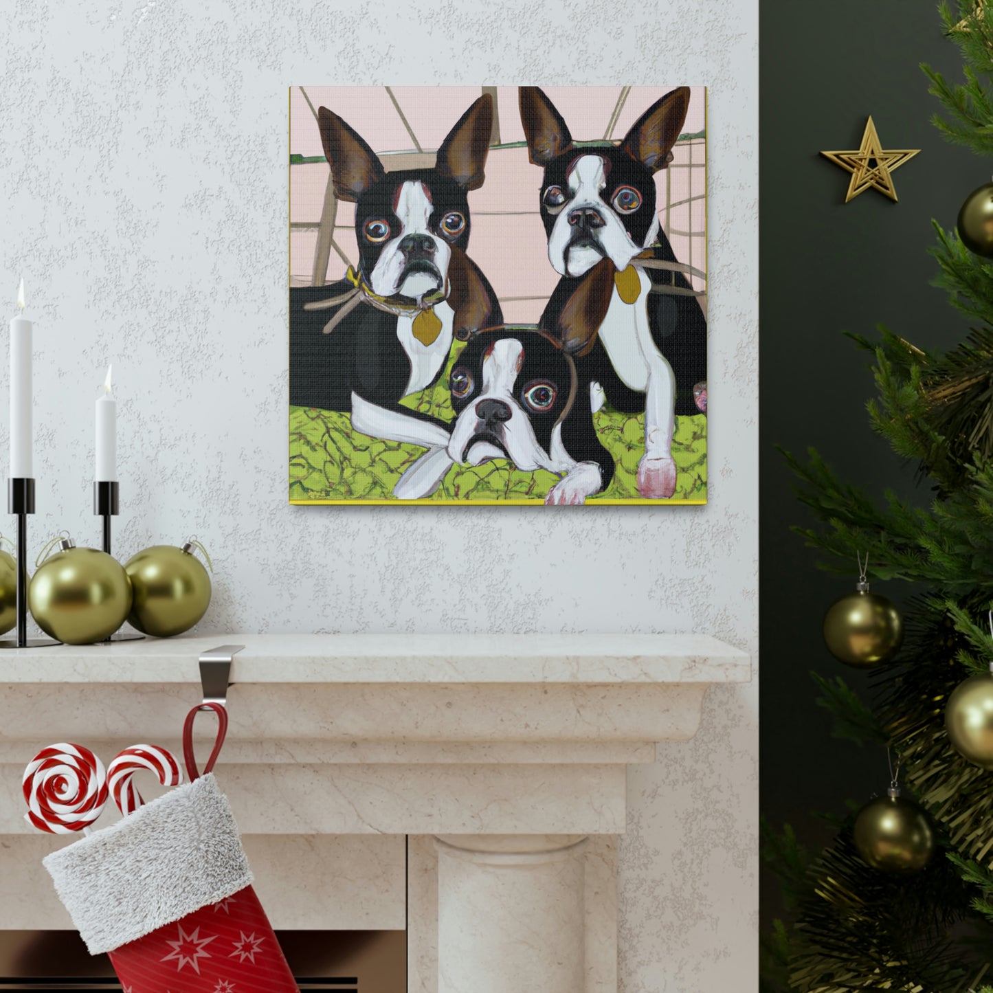 "Boston Terrier Reflection Shine" - Canvas