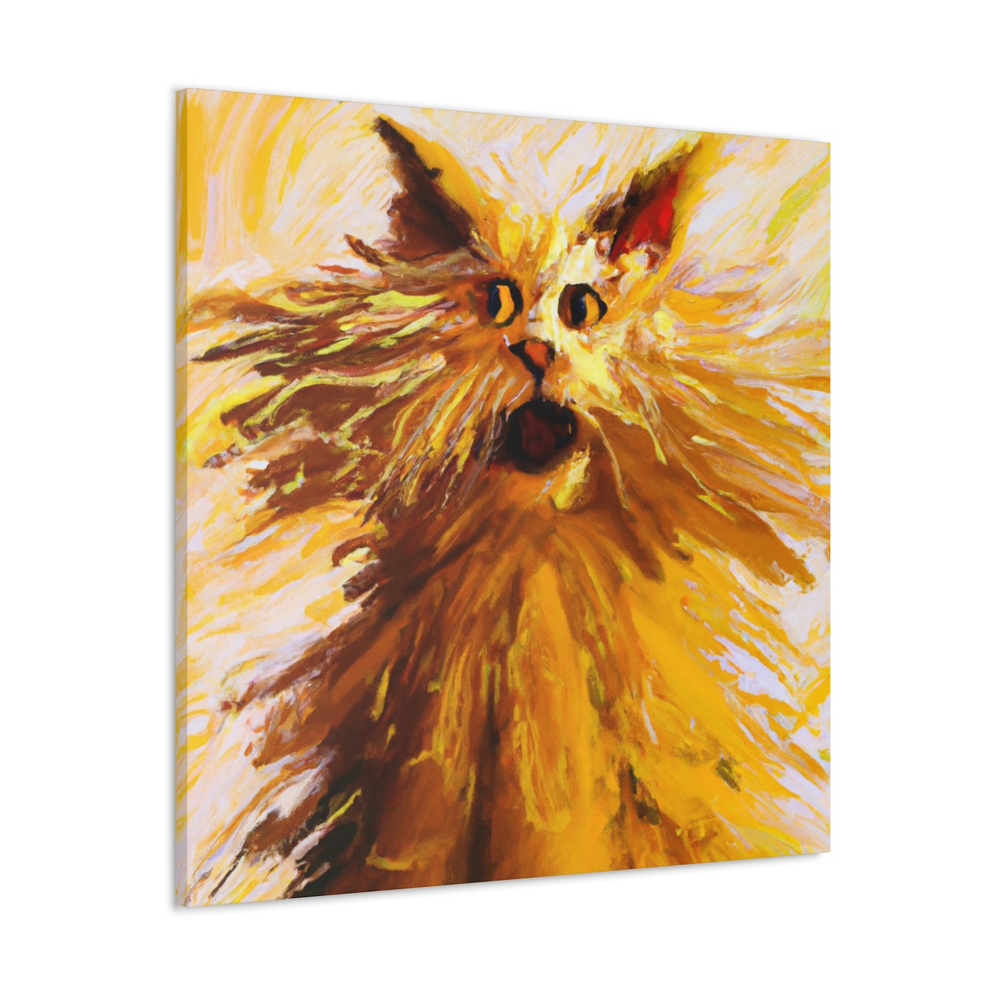 Maine Coon Awe. - Canvas