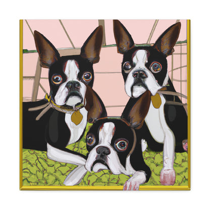 "Boston Terrier Reflection Shine" - Canvas