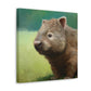 "Wombat in Landscape" - Canvas