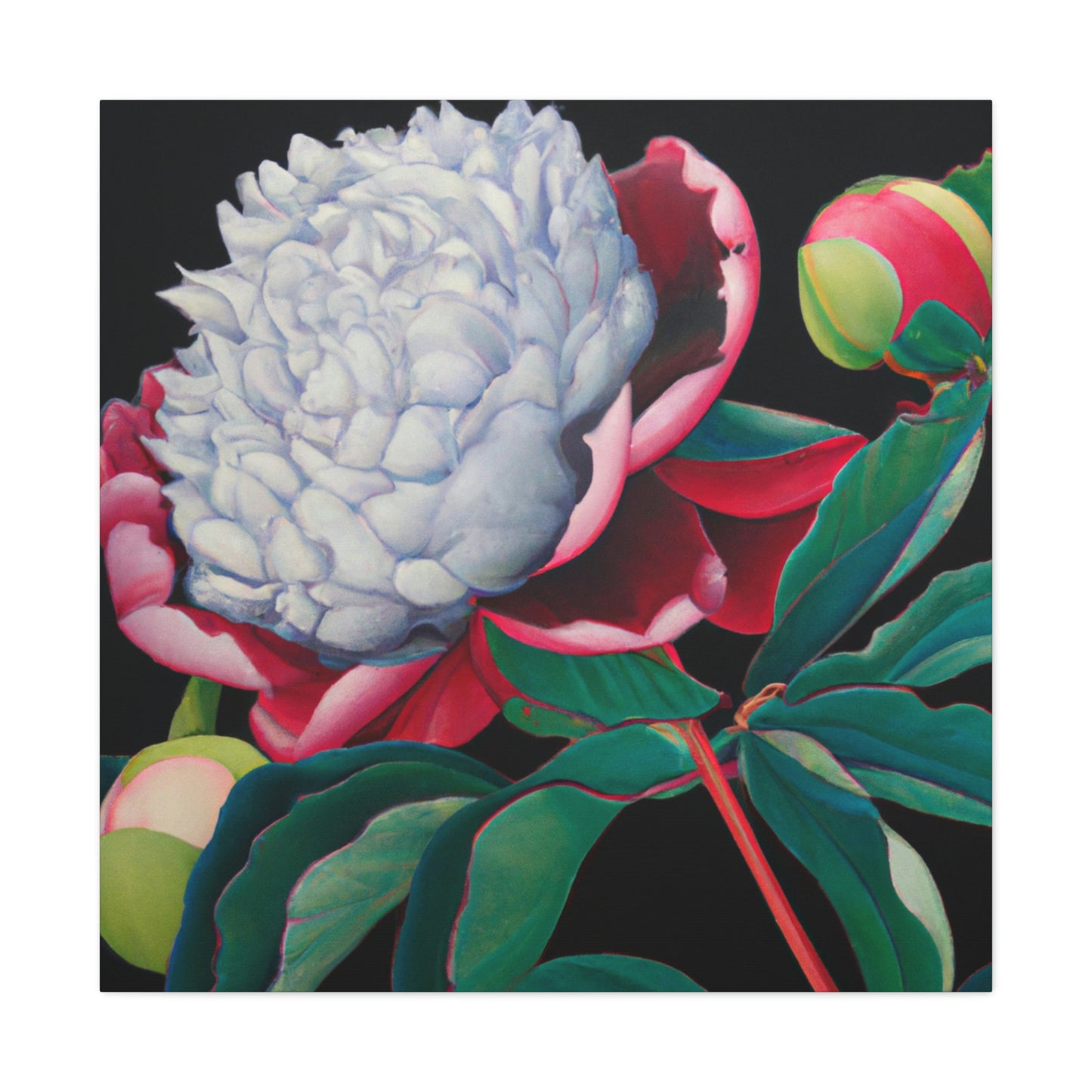 "Flamboyant Peony Bloom" - Canvas