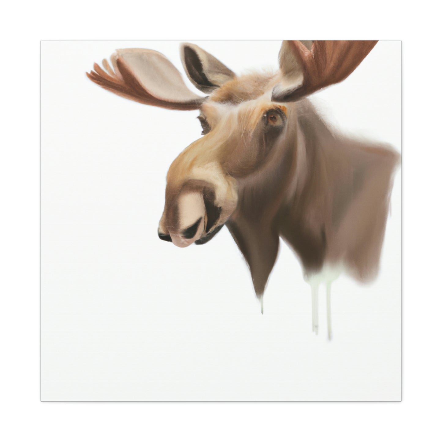 Moose in Winter Light - Canvas